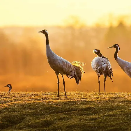 Strandliebe Am Strandbad Мальхов